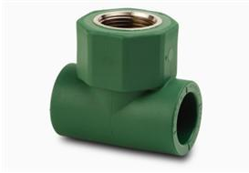 TF-TE CON ROSCA CENTRAL HEMBRA FUSION.